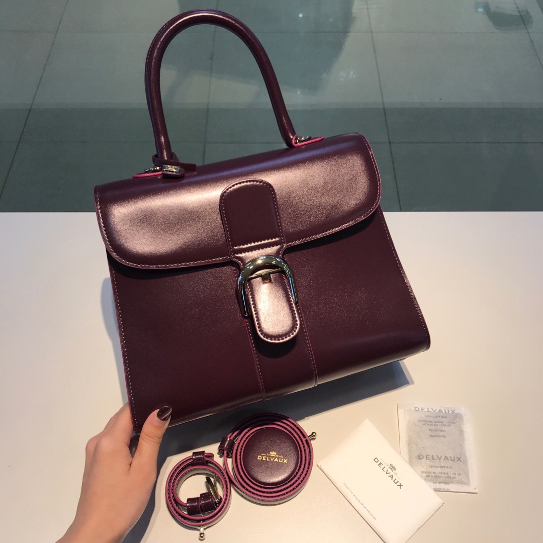 델보 브리앙 박스백 미듐